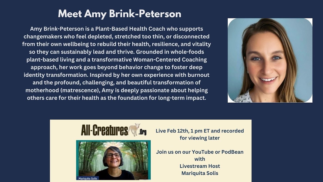 Sustainable Advocacy: Rebuilding Resilience with Amy Brink-Peterson