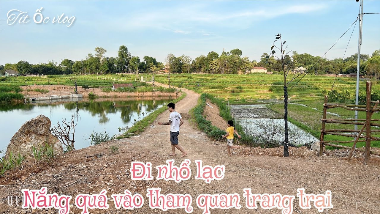 Buổi chiều đi nhổ lạc và tham quan trang trại | Cánh Cò Vlog | vlog 2