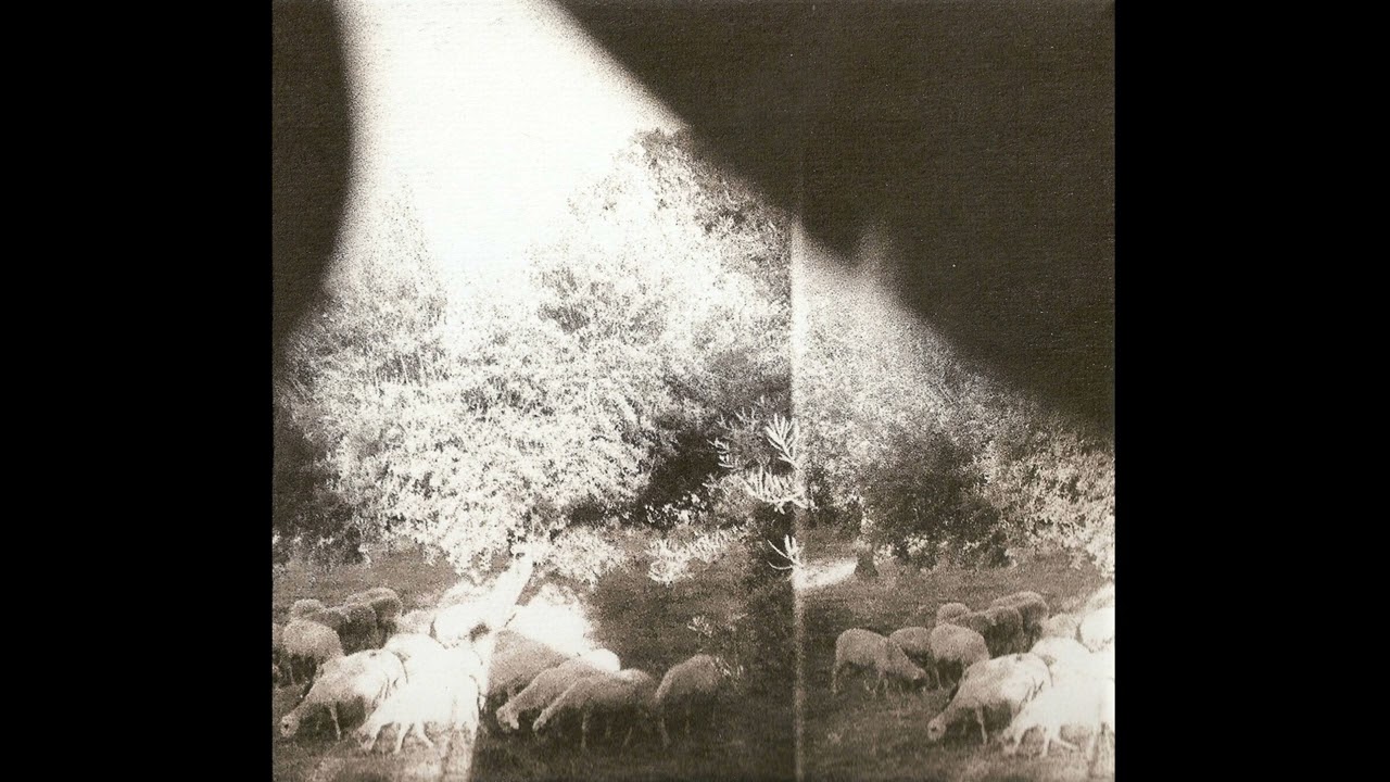 Lambs&rsquo; Breath
