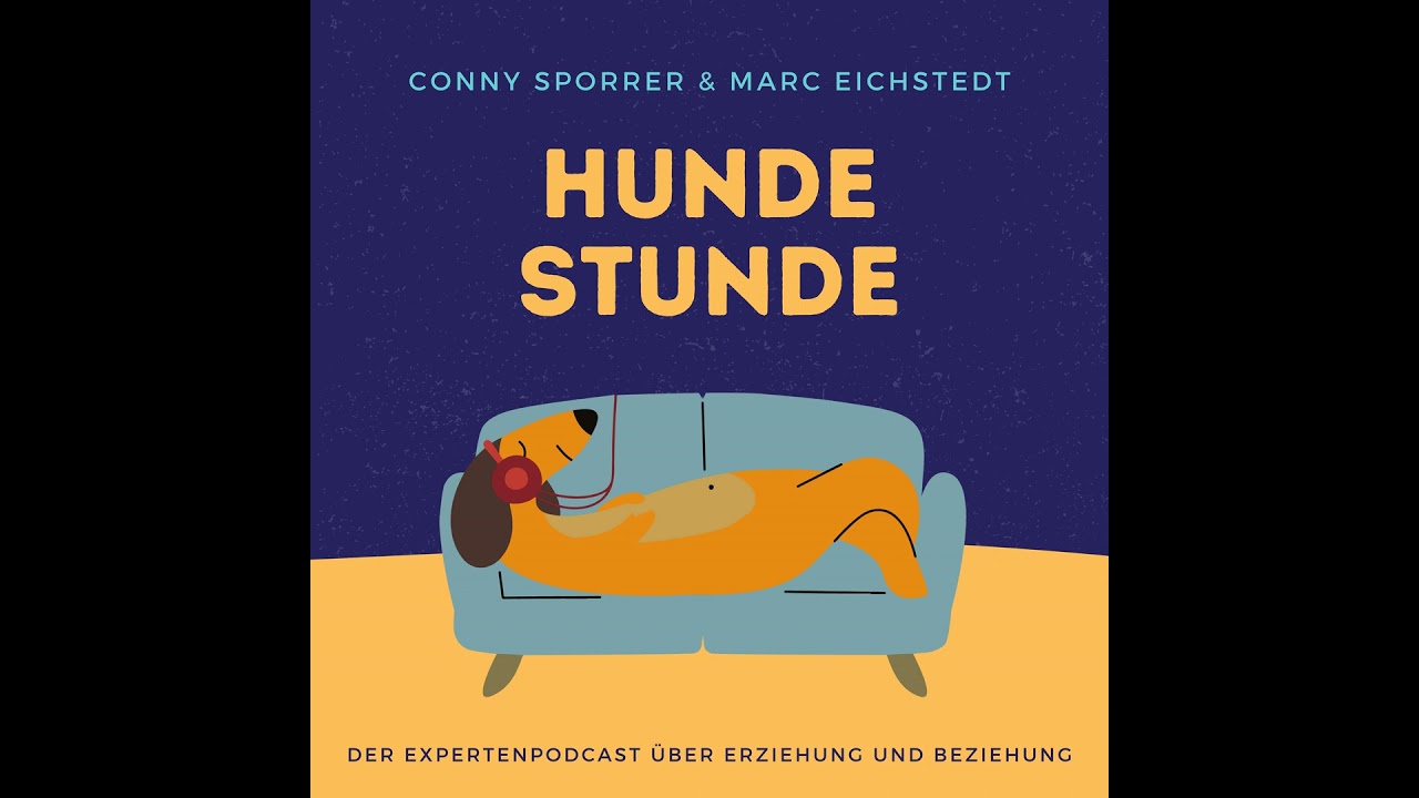 #26 - Stadthunde