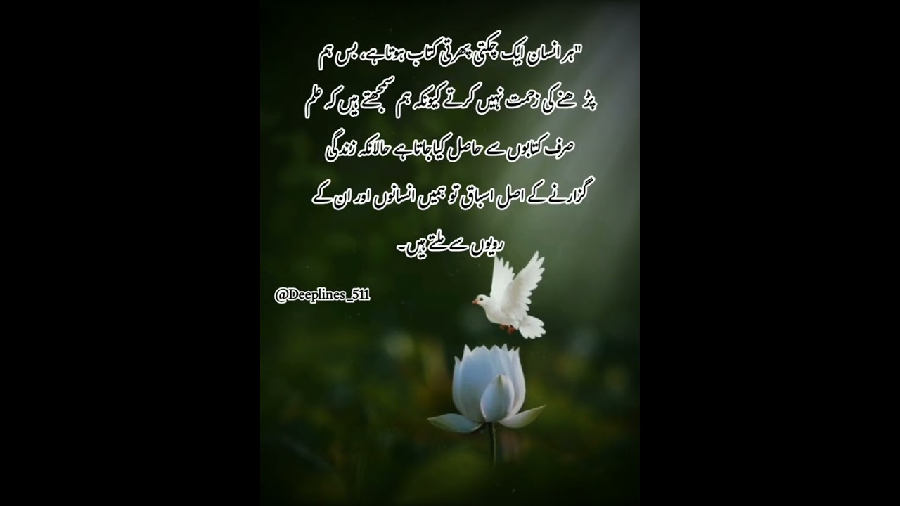 Insan aur rawaiyay #urdudeeplines #urdupoetry #deeplines #shortvideo