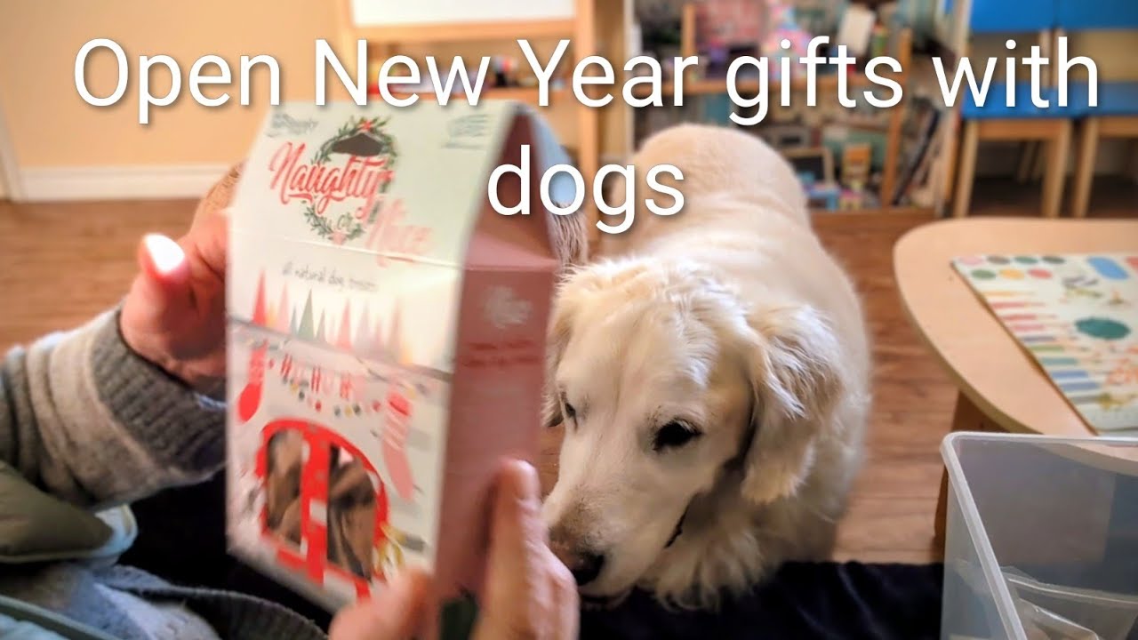 Unpacking New Year gifts with dogs and play ❤️ 