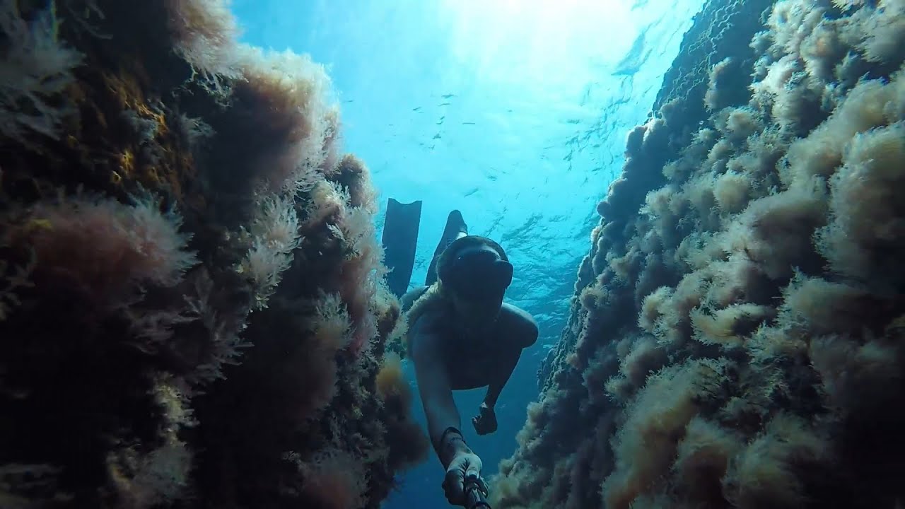 Best Free Dive in Tropea, Capo Vaticano, Calabria, Italy - Apnea Italia