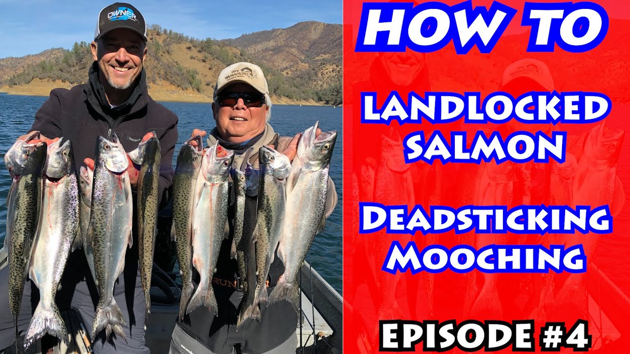 How to Catch SUSPENDED FISH: Tackle, Deadsticking & Mooching for LANDLOCKED SALMON | Episode 4