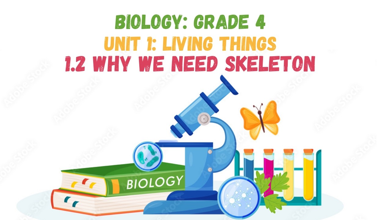 1.2 WHY WE NEED SKELETON