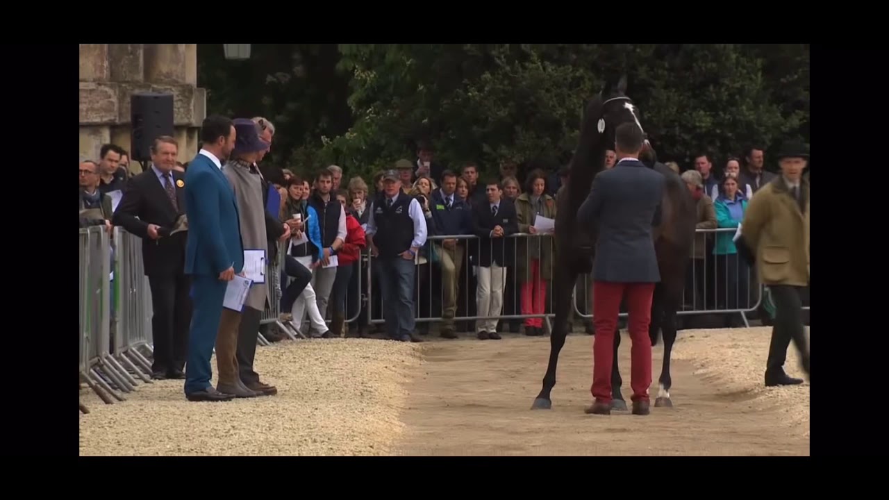 Trot up
