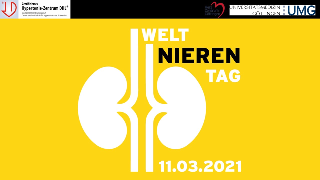 Nierenerkrankungen erkennen und behandeln - Prof. Dr. Michael Zeisberg