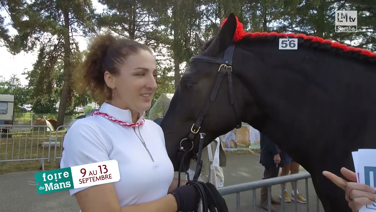Concours départemental du cheval Percheron - Foire du Mans 2021