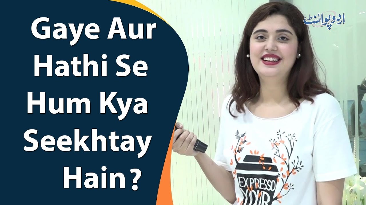 Kanwal Aftab | Common Sense Question | Cow And Elephant Se Hum Kya Seekhtay Hain?