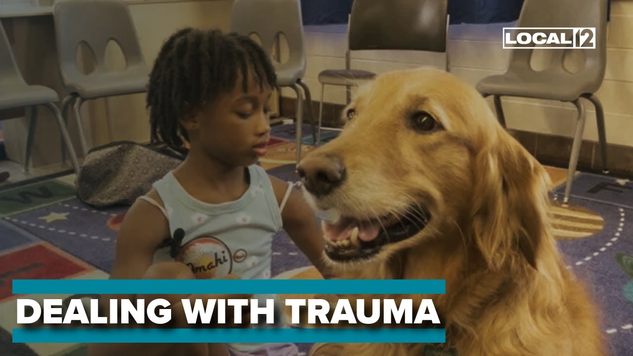 New program in Cincinnati uses therapy dogs to help children cope with trauma