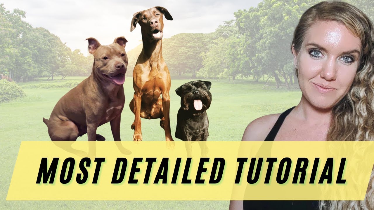 Train Dog Sit with Positive Reinforcement (this will make your dog smarter!)