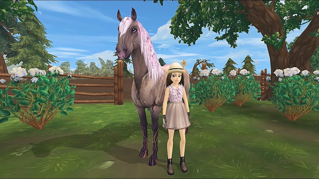 Springrose's First Level 1 and 15 Champs || FG/VD Champ [Star Stable]
