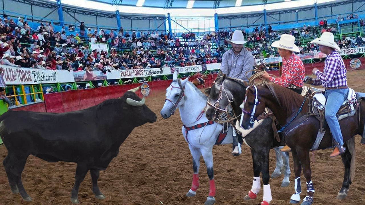 JARIPEO DE TOROS BRAVOS BUSCA CABALLOS MORELIA MICHOACAN!! 10 AGOSTO 2025 COMANCHE DE QUINCEO RAULIN