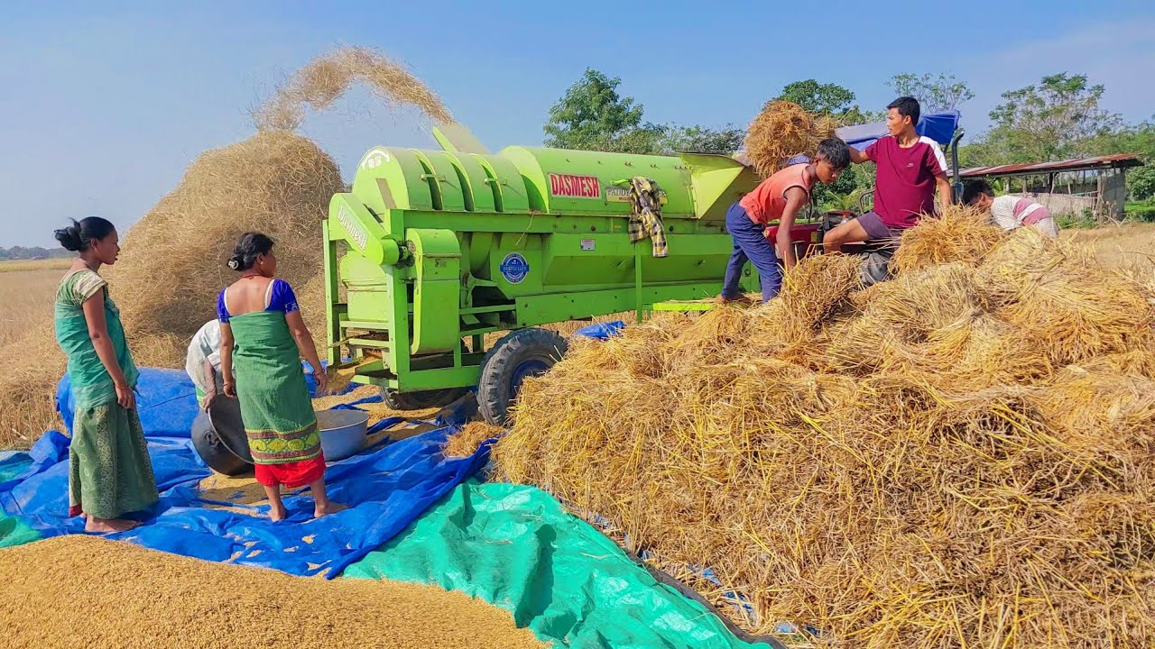 5 Fan Paddy Thresher Dasmesh | Speed: RPM 750 | Power 35 Hp +| Paddy Thresher | No 1 Premium Quality