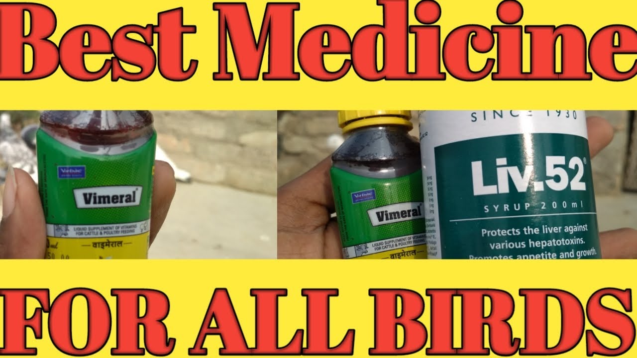 Effective Medicine for All Birds #Vimeral #Liv52