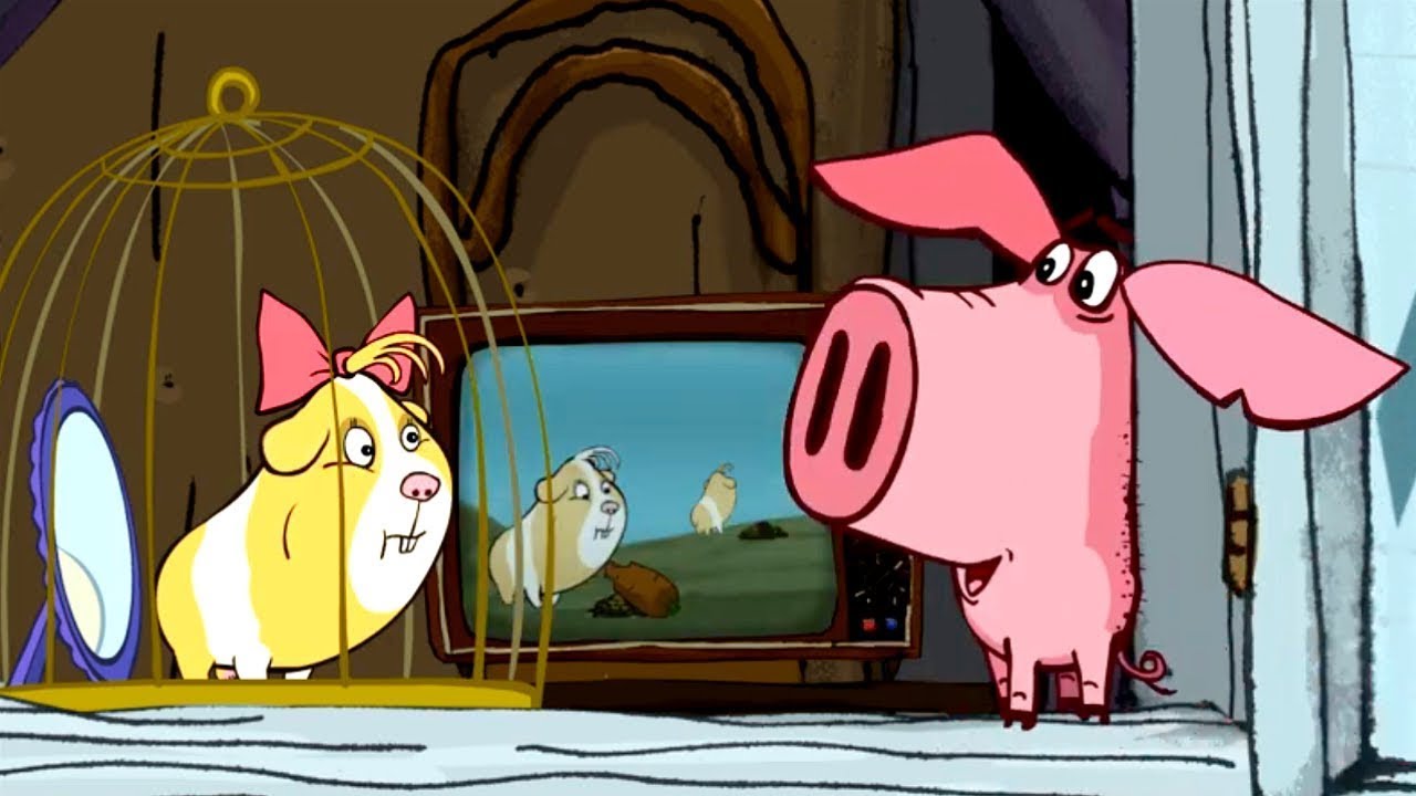 El Cerdito | El Conejillo de Indias 🐷 ToonsMania