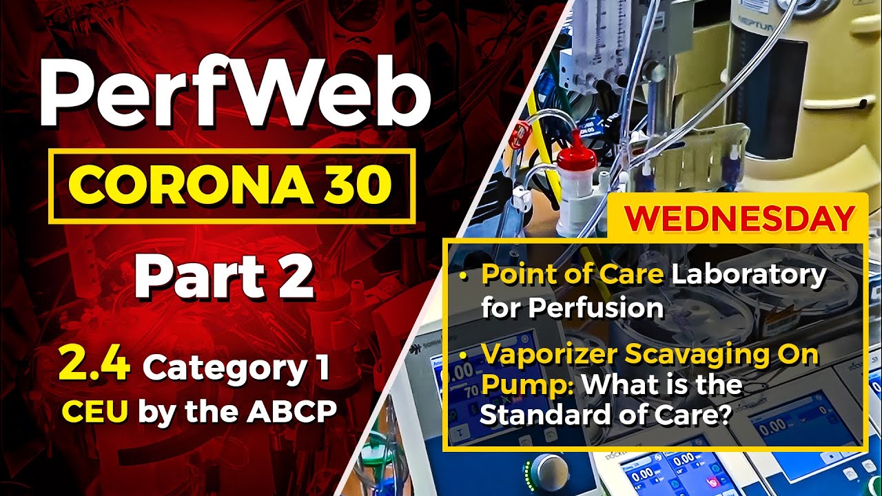 CORONA 30 Point of care laboratory for perfusion RAPP and UF: Avoiding hemodilution