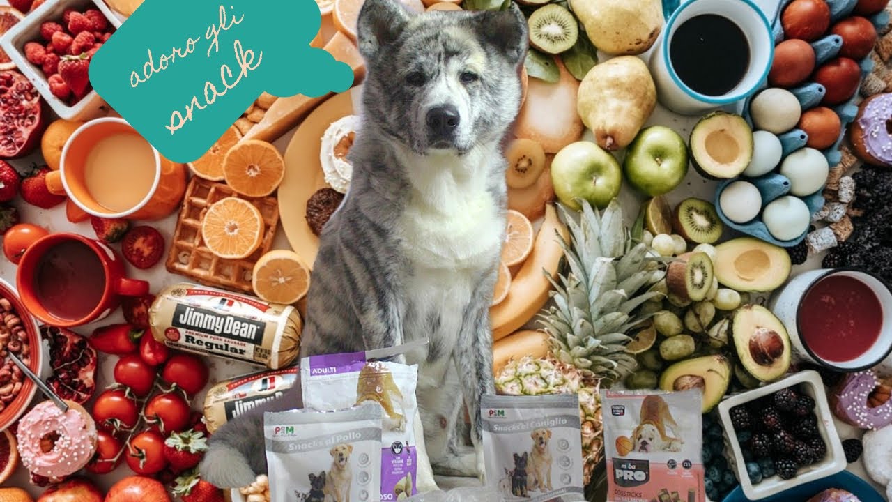 Snack per cani taste test (ASMR)