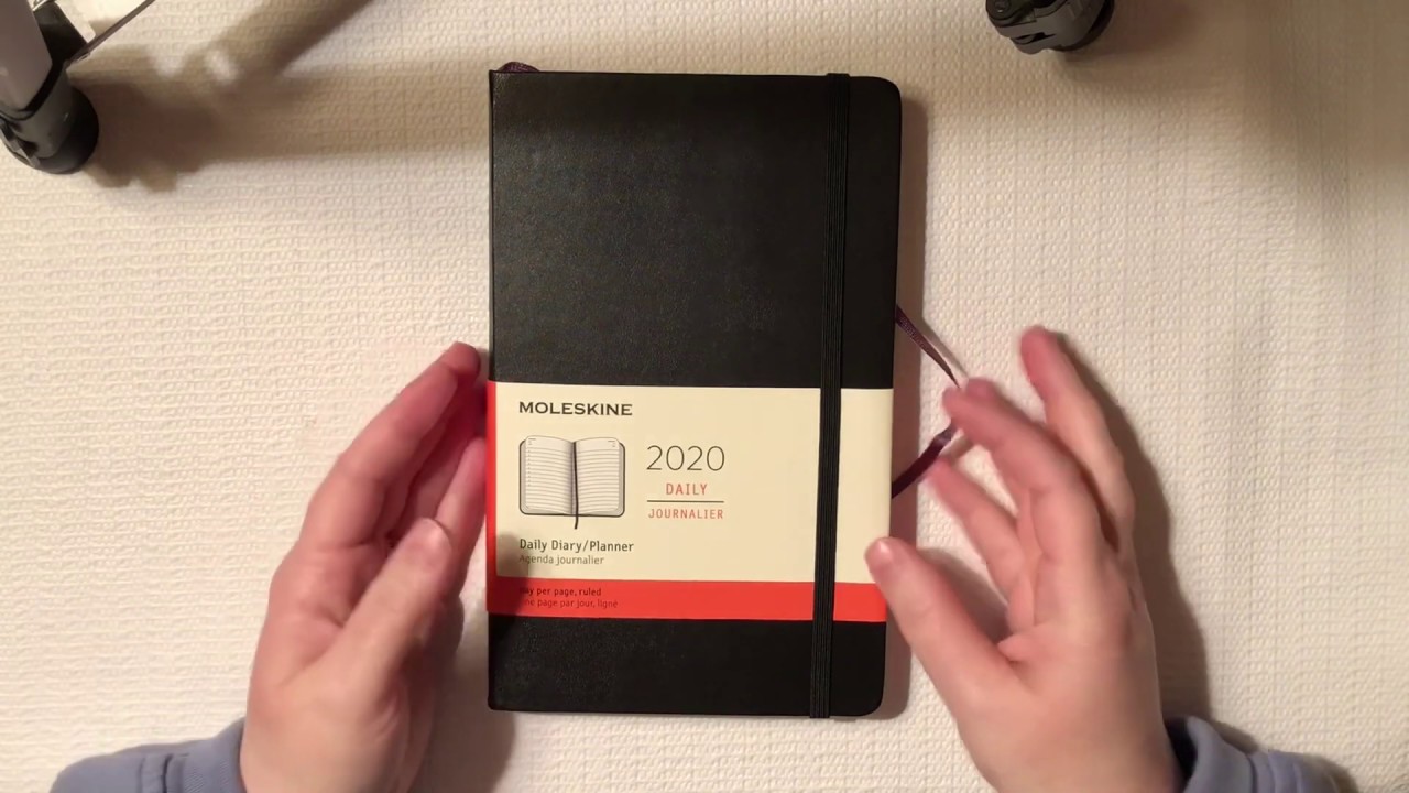 Moleskine 2020 Daily Planner/Diary Flip Through and Review