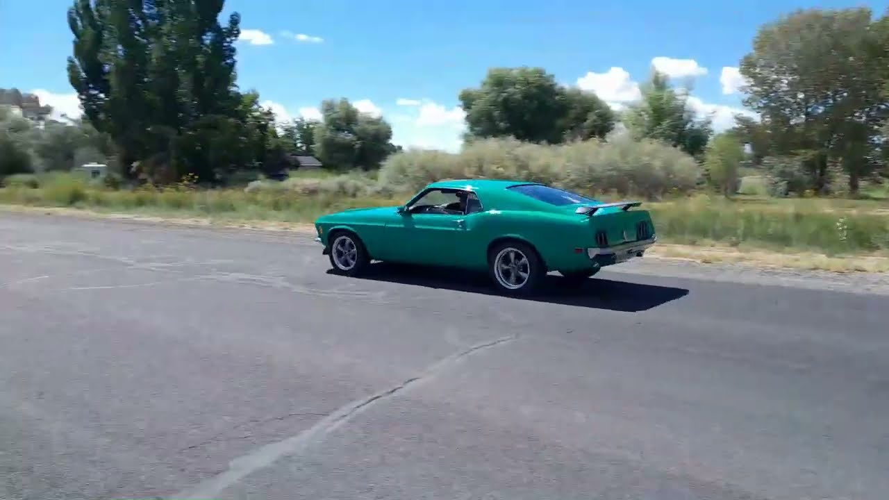 Midnight Mustang