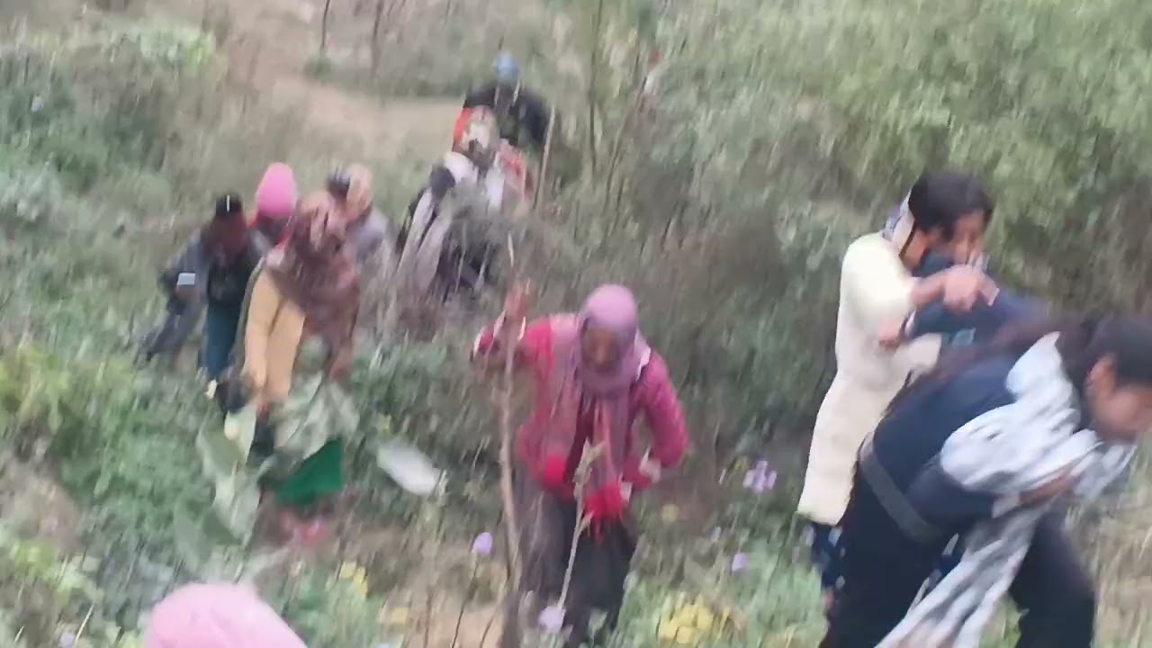 CHAMBAL ka bihad    💤💤🦠