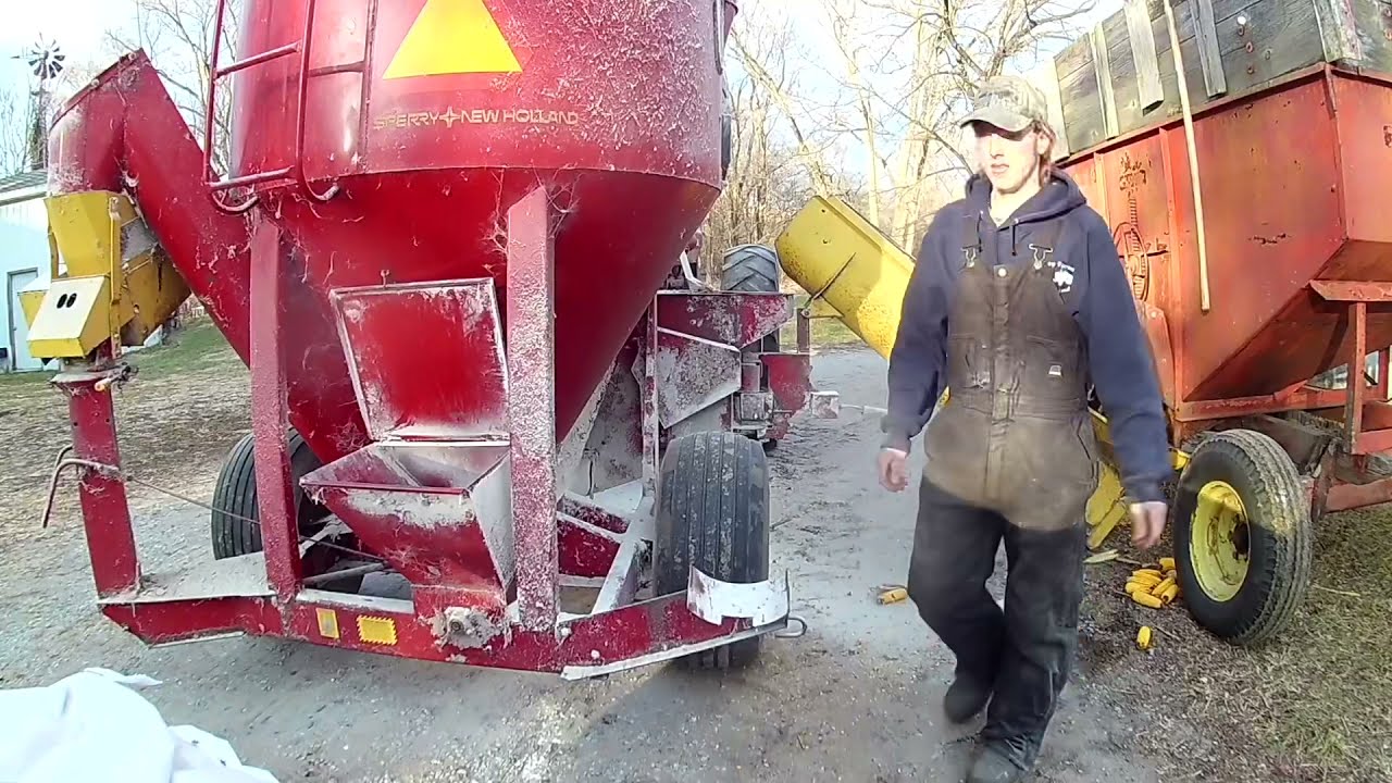 Переработка кукурузы в корм для скота с помощью измельчителя Farmall 560 и смесителя New Holland 354