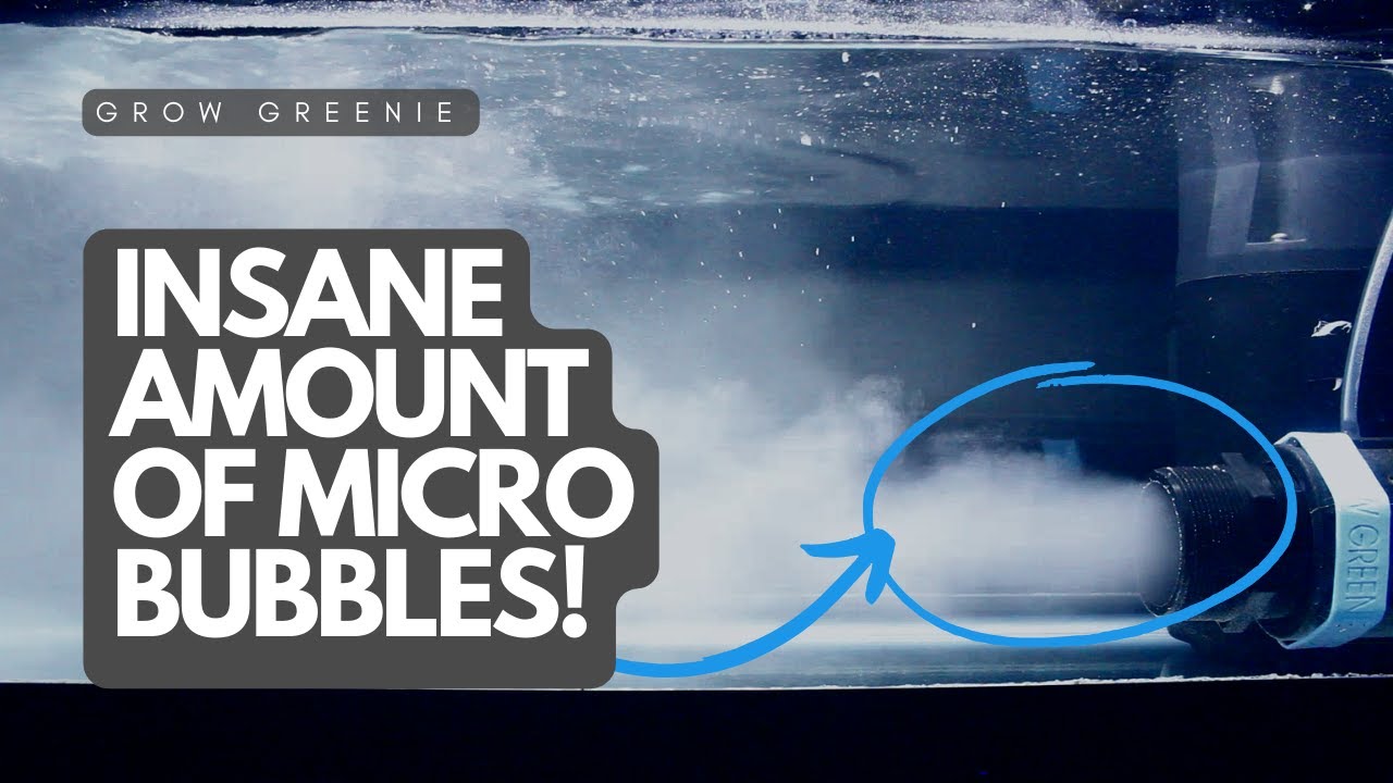 This MicroBubbler Technology is Game-Changing: Discover the Best Device for Injecting Oxygen/Ozone!
