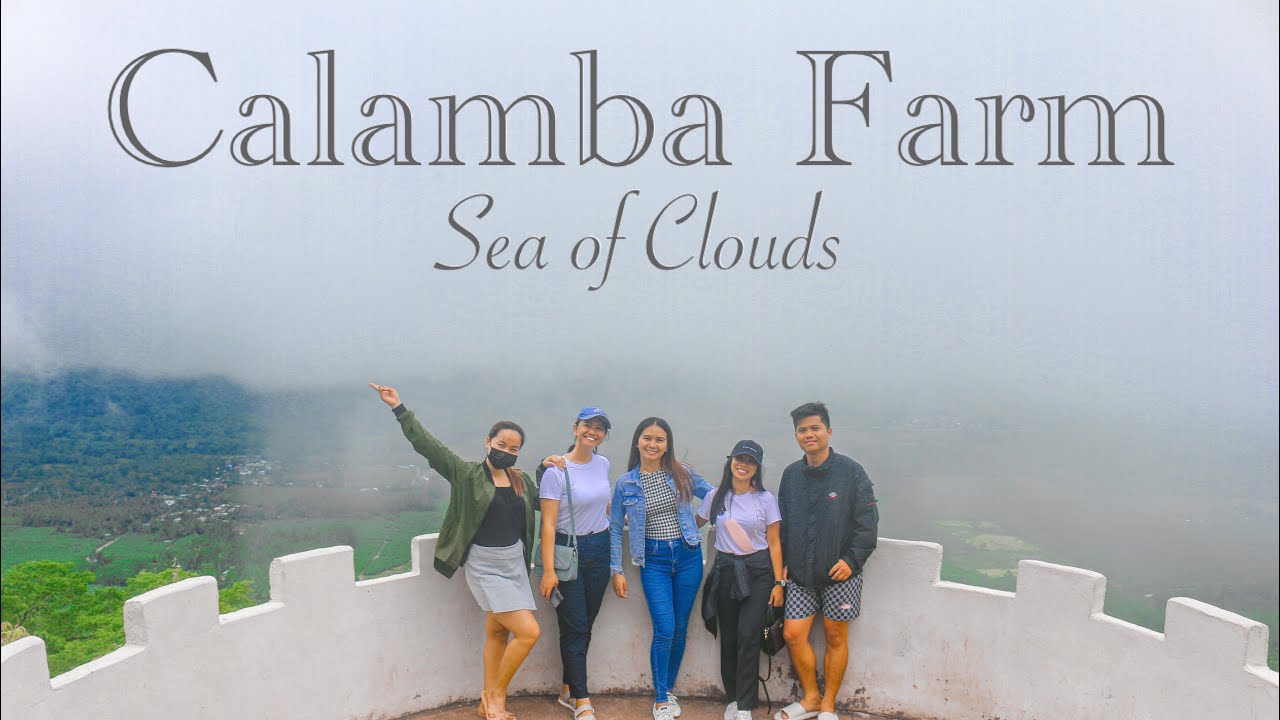 Amazing tourist spot in the southern part of the Philippines | CALAMBA FARM of Maragusan