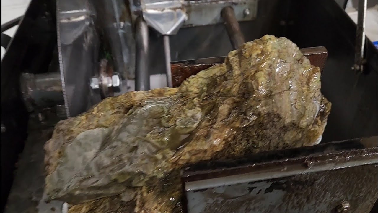 Is This Green Petrified Wood? - Cutting Rocks