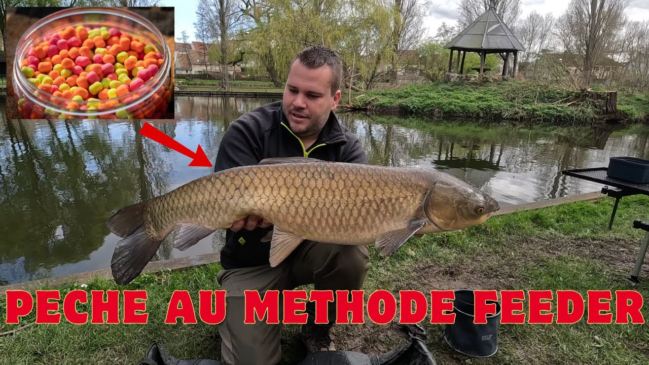 Pêche au METHODE FEEDER en étang