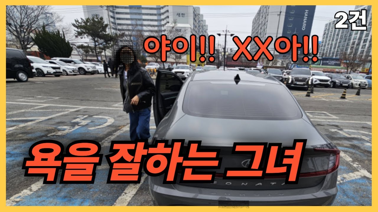 욕을 잘하는 엿녀 (공문서부정행사) 장애인전용주차표지를 악용하는 사람들