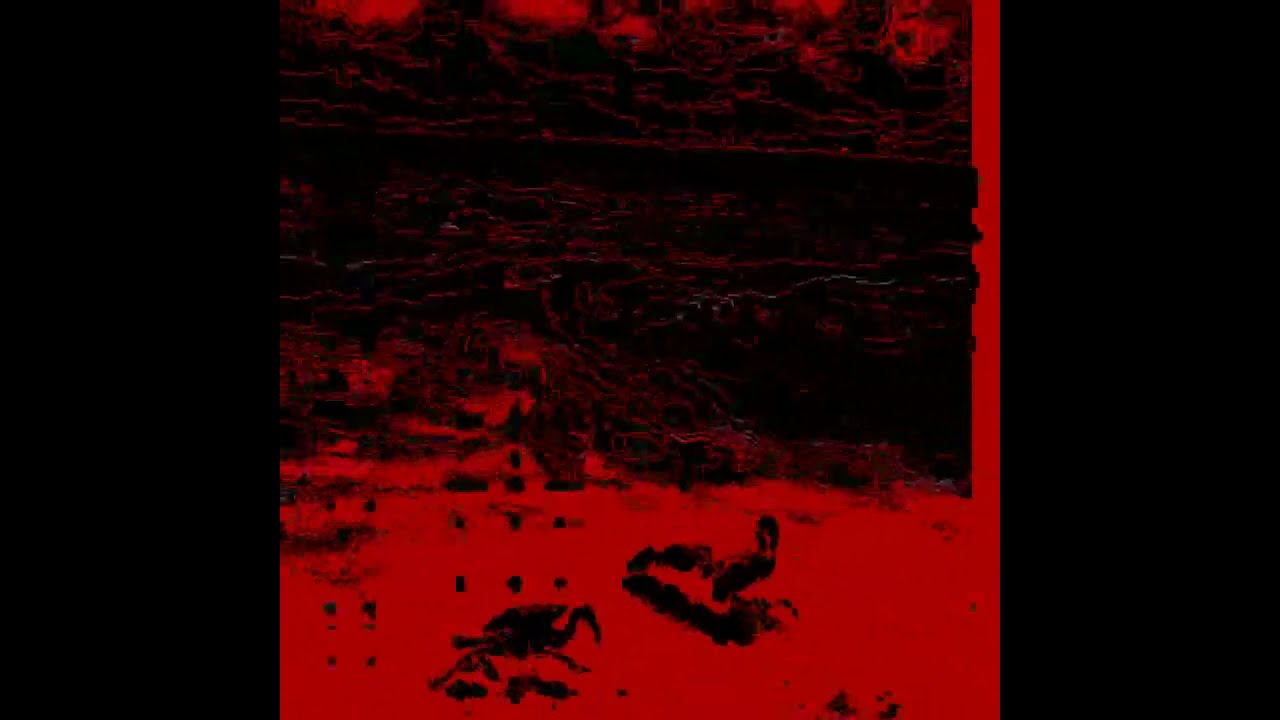 BIRD::SAMSARA