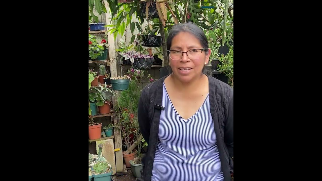 Conozca el vivero de Yesenia Raxón en San Juan Sacatepéquez