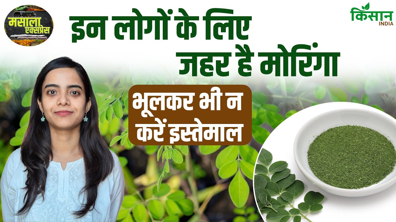 Moringa (Drumstick) Benefits & Side Effects: इन लोगों के लिए खतरनाक है मोरिंग, भूलकर भी करें सेवन