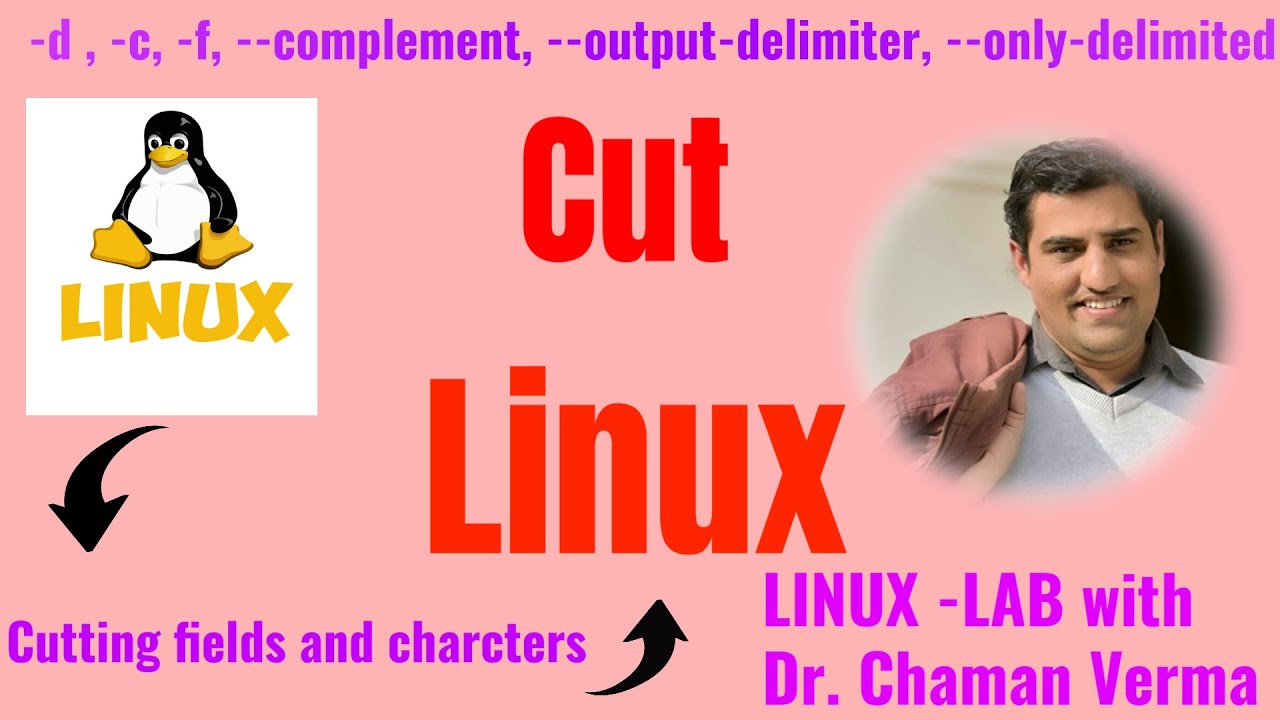 Linux Cut Filter