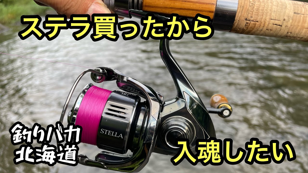 【渓流釣り】22ステラ購入！初釣行で入魂なるか【ルアーフィッシング】