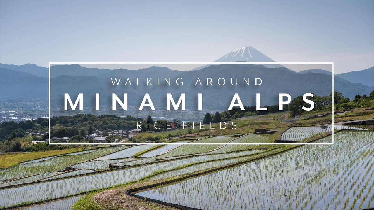 Japan Walk 4k | Minami Alps rice fields (with Mount-Fuji)