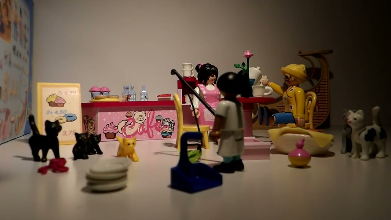 Playmobil maison des chats