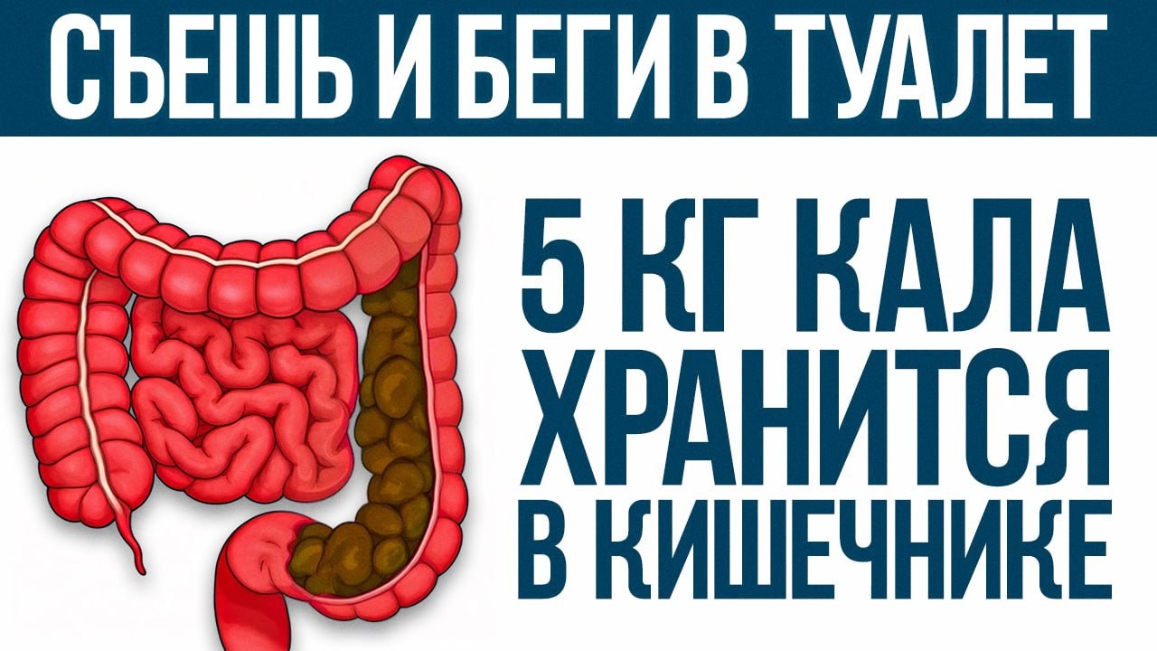 Этот ДЕСЕРТ спасет ваш ЖКТ! / Как наладить работу кишечника и избавиться от запора?