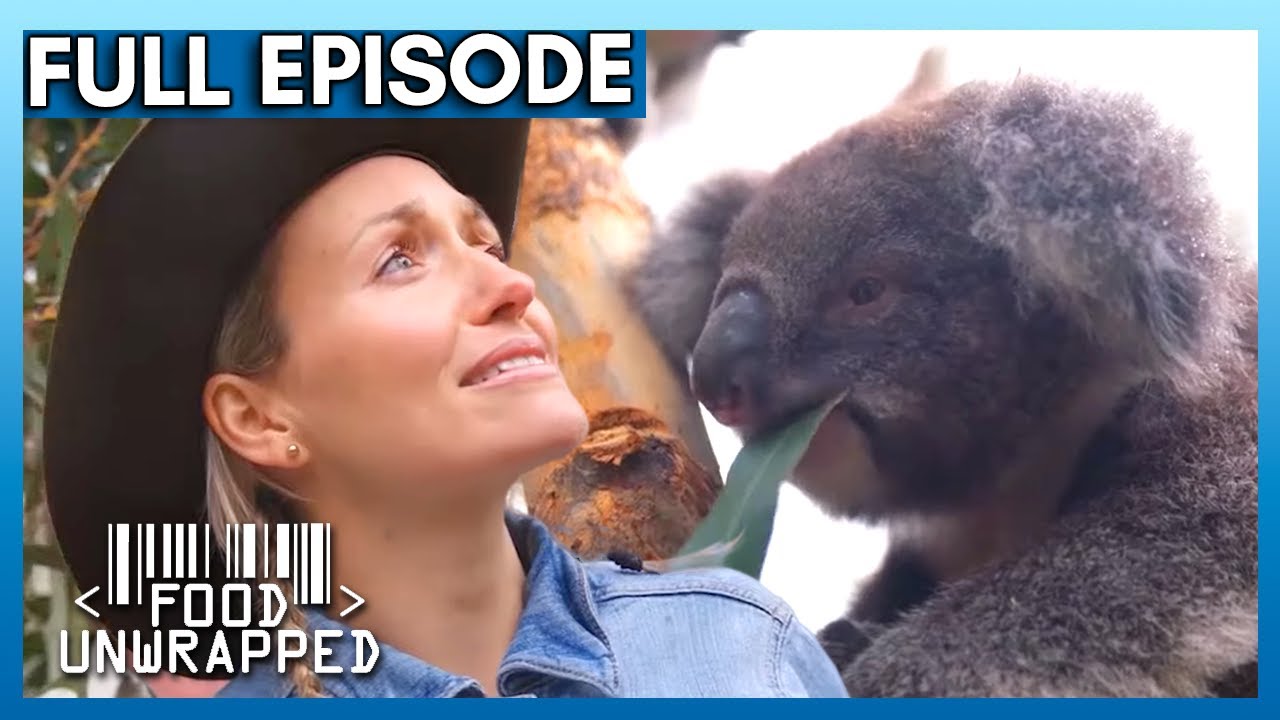 Как коалы безопасно поедают это токсичное растение 🐨 | Food Unwrapped, 6 сезон, 10 серия | Полный...