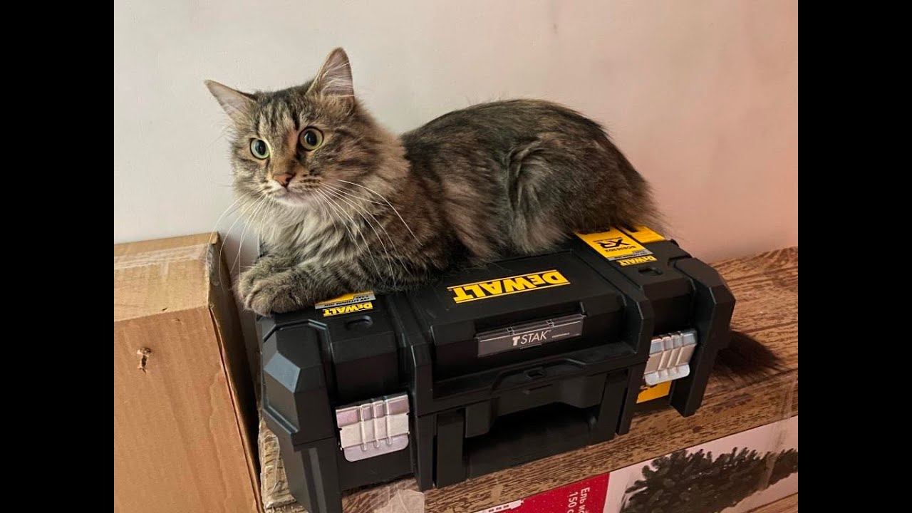 12 Реноватор (мультитул) DEWALT DCS353 12 V + Карандаш Pica Dry