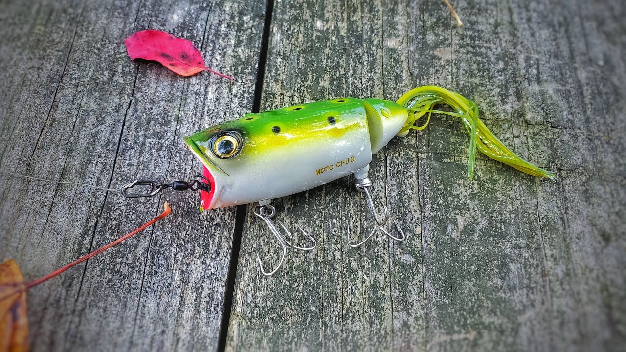 Fishing the Robotic Lure Moto Chug Topwater Popper Lure