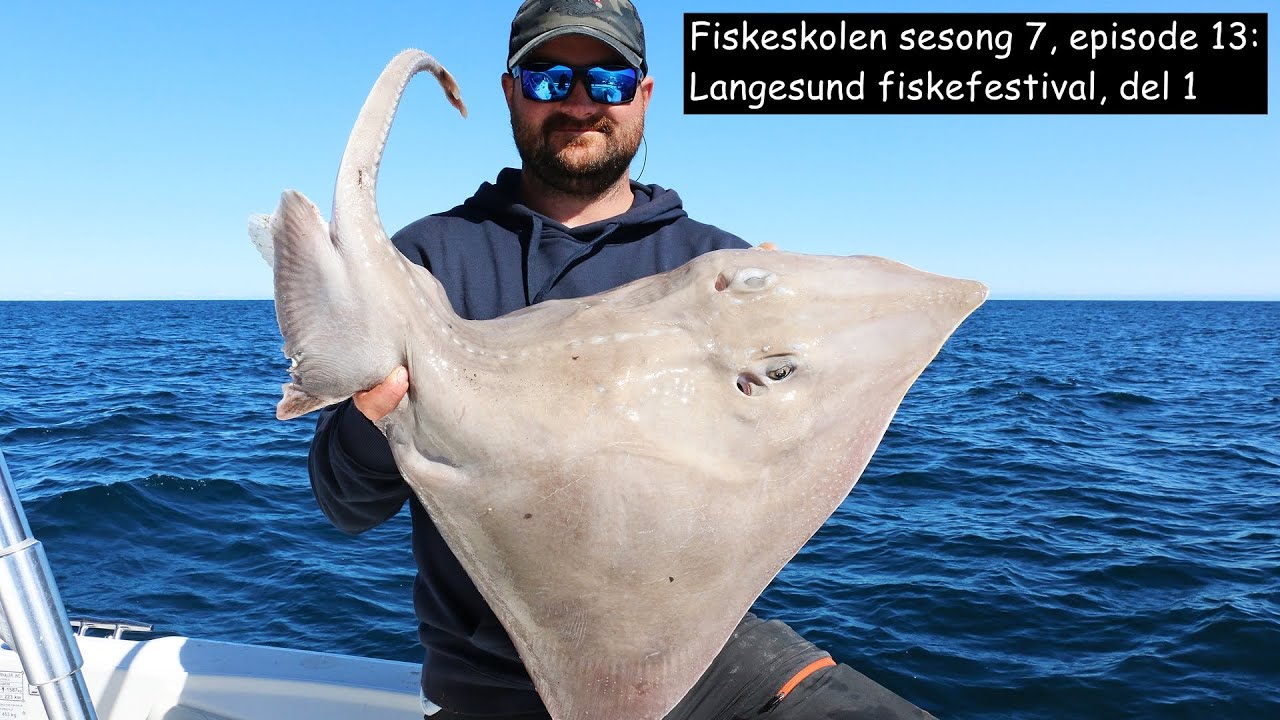 Fiskeskolen sesong 7, episode 13: Langesund Fiskefestival, del 1