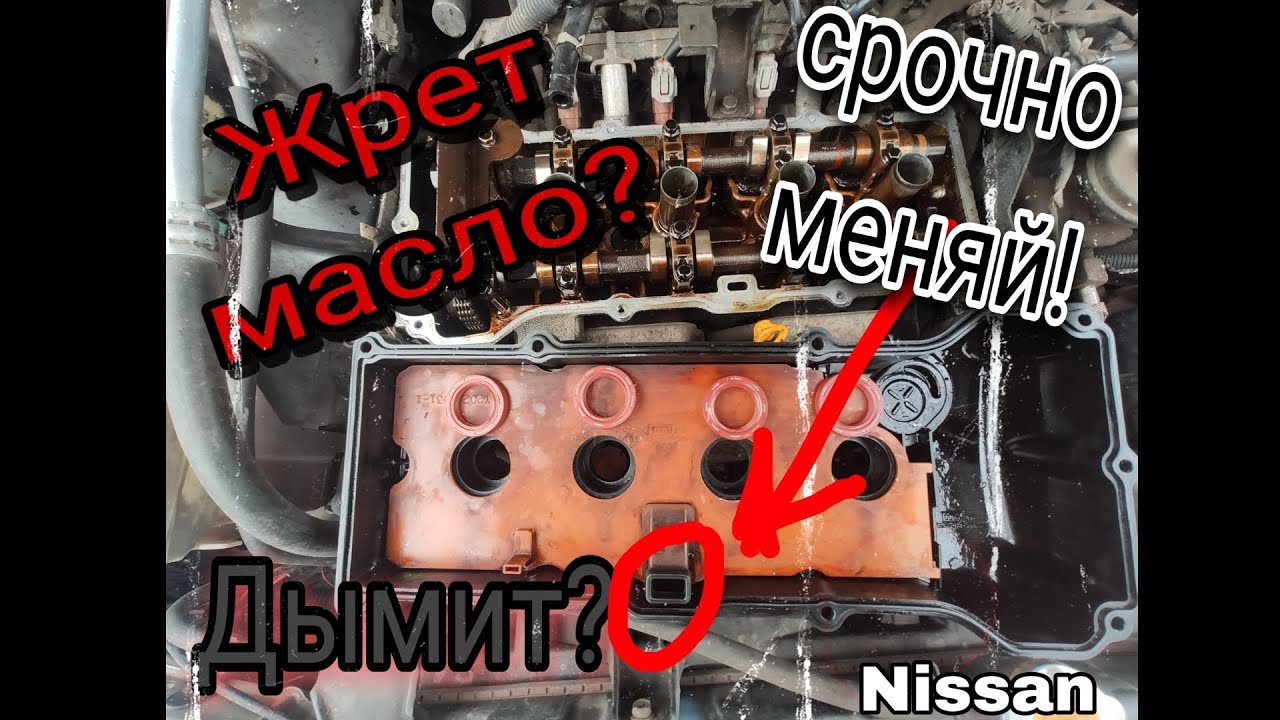 Двигатель дымит и жрет масло. (Nissan AD) QG15DE,16,18 Решение есть !