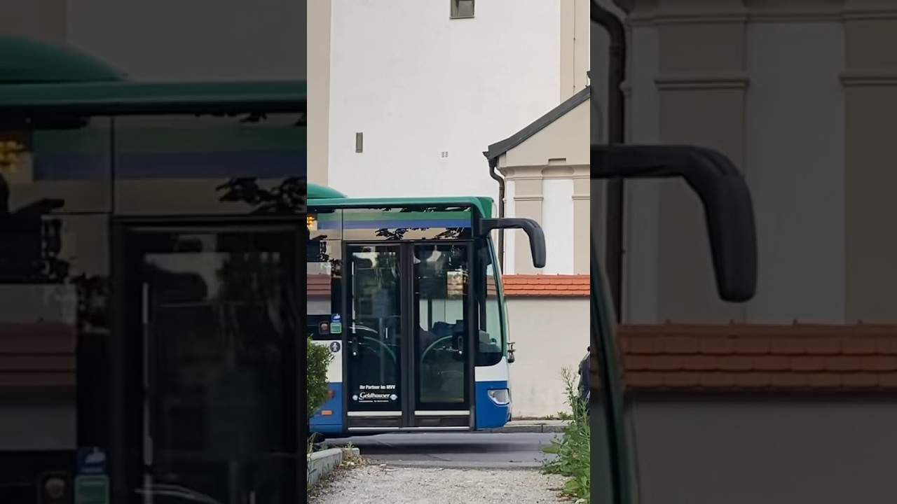 Citaro 1