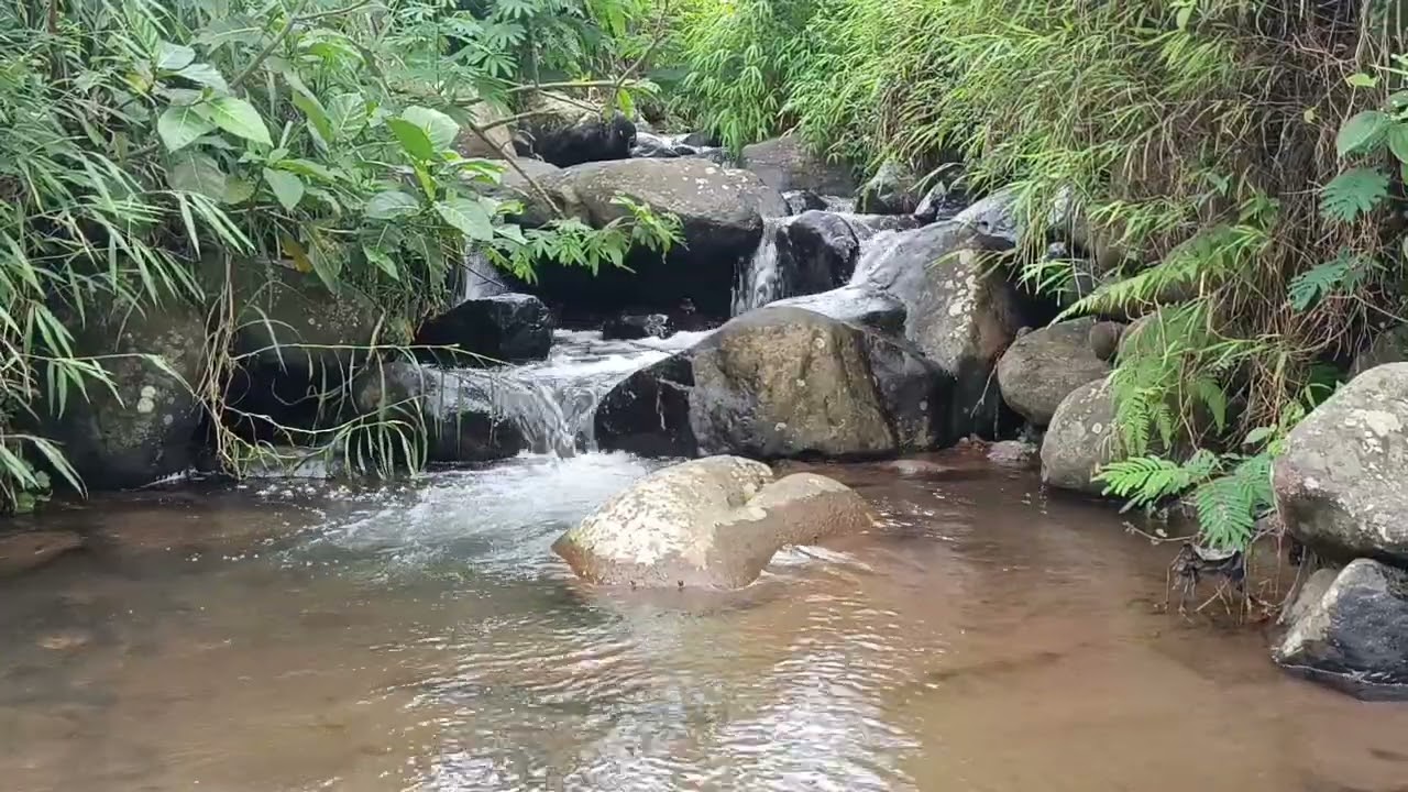 Crystal Mountain Stream | Pure Natural River  Sound For Deep Relaxation