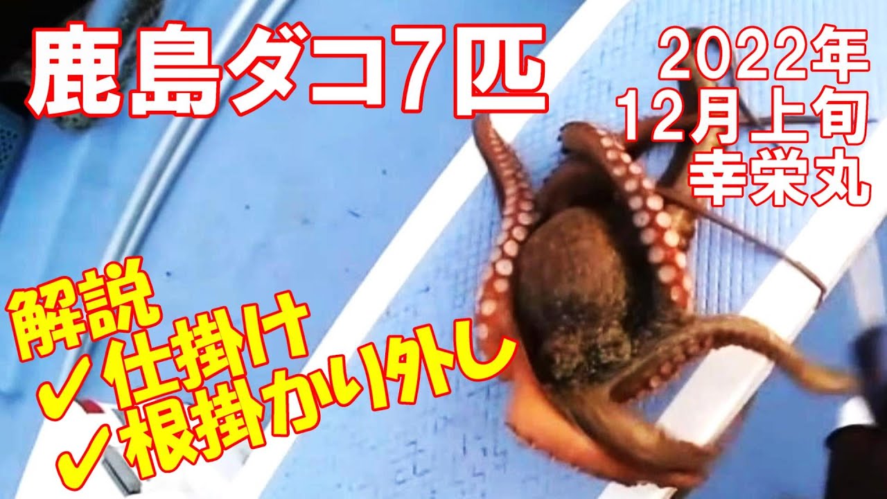 鹿島沖タコエギ・タコ釣り！マダコ7匹総重量5.6kg総集編！タコエギ仕掛けから根掛かりの外し方まで ＠幸栄丸2022年12月上旬