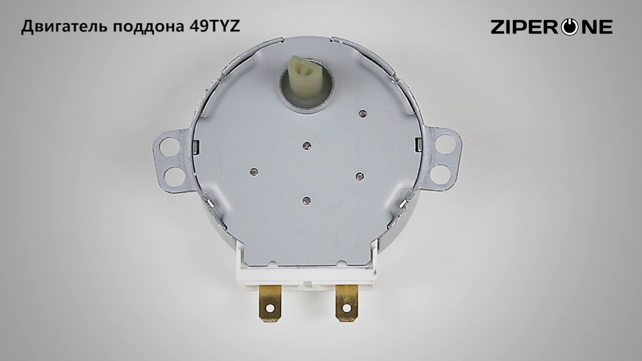 Microwave Turntable Motor 49TYZ (22345)