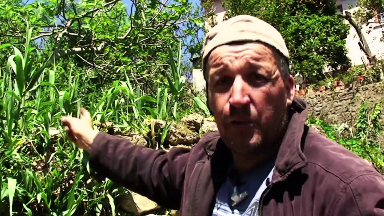 Sur les routes de Kabylie : TOUDJA