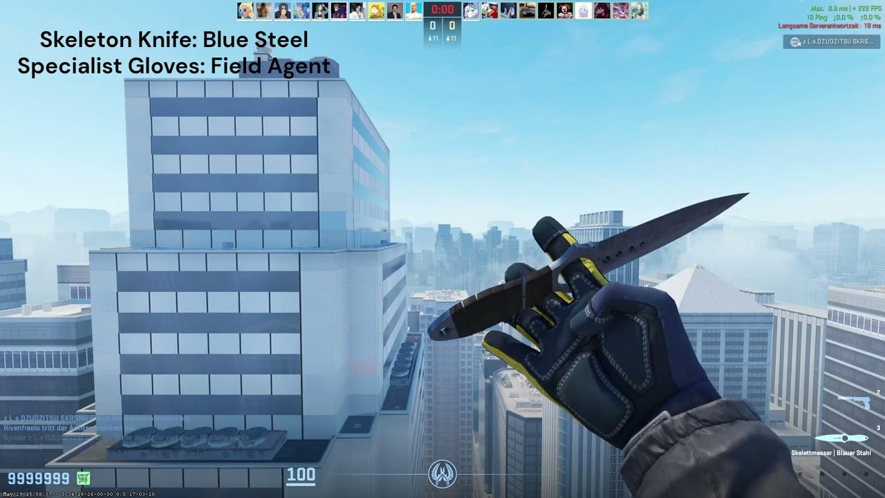 Csgo Skeleton Knife Blue Steel and Specialist Gloves Field Agent Combo